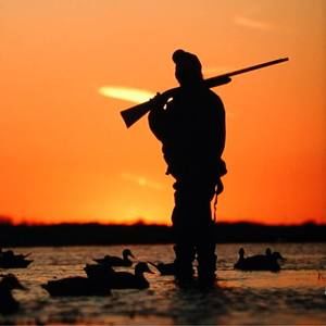 Meet your Posher, Drew